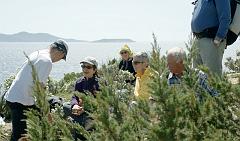 056 - 08 04 13 - Cap Bon - Cabasson (Armand M) - DSLR-A100